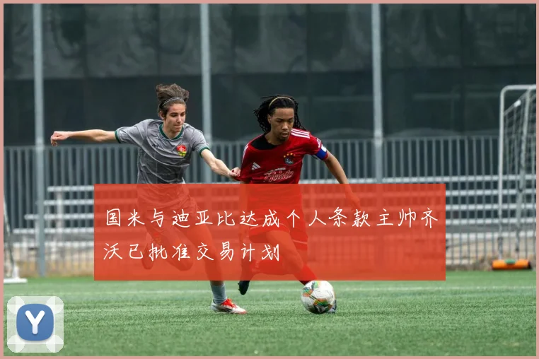 国米与迪亚比达成个人条款主帅齐沃已批准交易计划