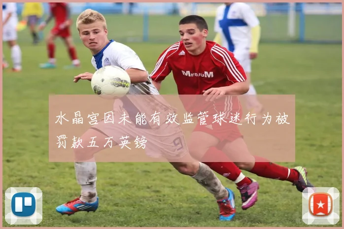 水晶宫因未能有效监管球迷行为被罚款五万英镑