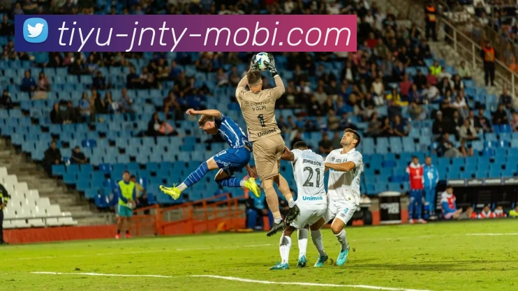 多媒体互动体验